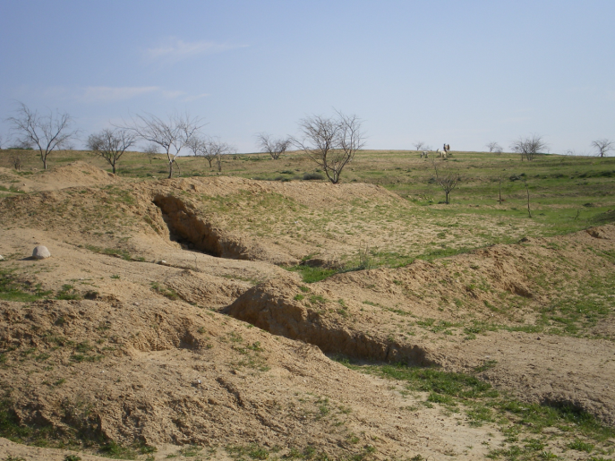  Land Degraded by Contour Trenching