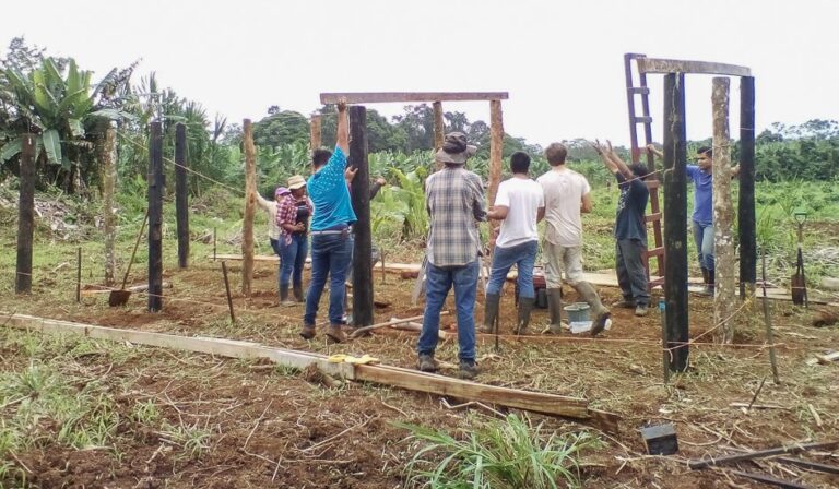 Construction of the chicken coop