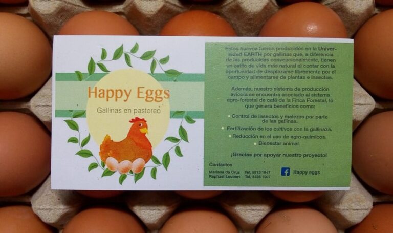 Happy Eggs brand eggs, produced under pasturage!
